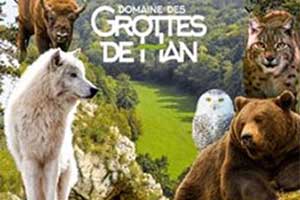 parcs-animaliers-grottes-de-han